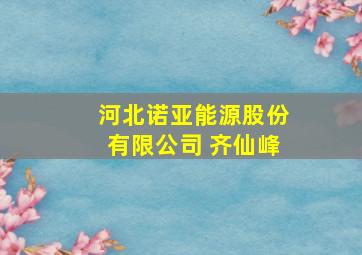 河北诺亚能源股份有限公司 齐仙峰